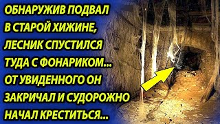 Бывалый Лесник Нашел Подвал В Старой Хижине, А Когда Он Туда Спустился, Остолбенел От Увиденного