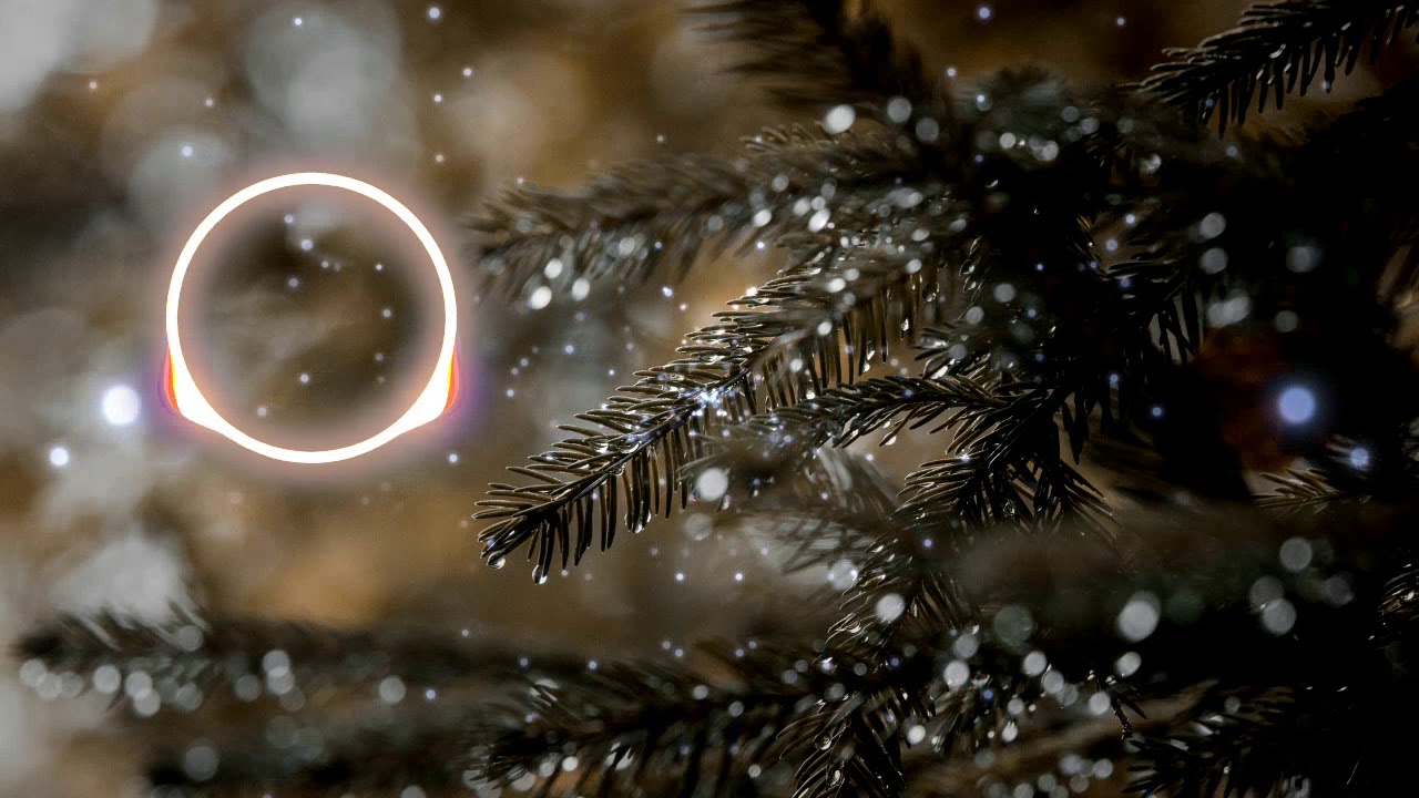 ⚜️ Danny Evo  -  Jingle Bell Rock 🎧 {Copyright Free}  🎵