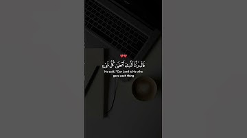 قال فمن ربكما يا موسى | القارئ شريف مصطفى | قرآن كريم ..♡