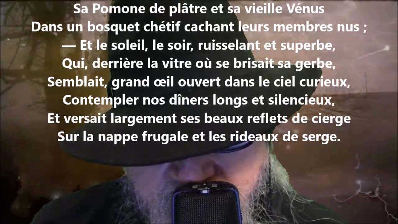 Je Ne T'ai Pas Oubliée Ou Oublié