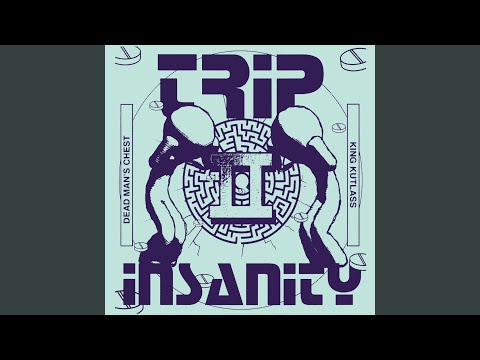 Trip II Insanity artwork