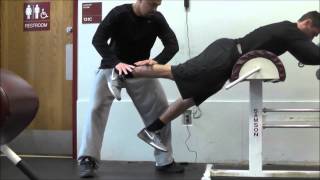 Reverse Hyper Manual Eccentric Single Leg