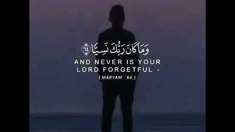 سورة مريم الآية ٦٤ بصوت الشيخ مؤيد المزين 🌺