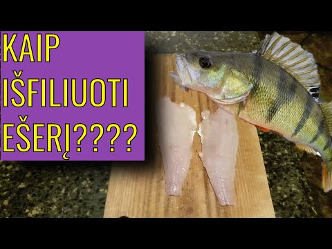 Video: Kaip Virti Jūrų Ešerių Filė