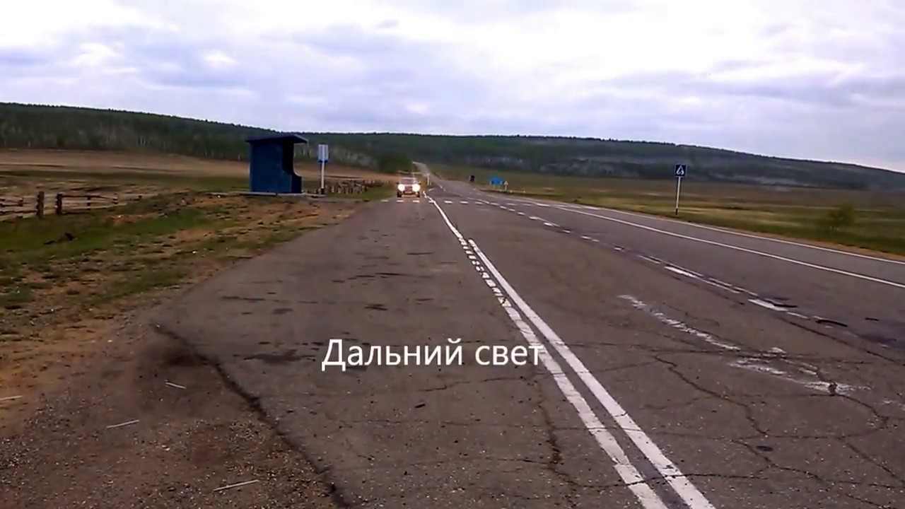 Дхо дальний в полнакала