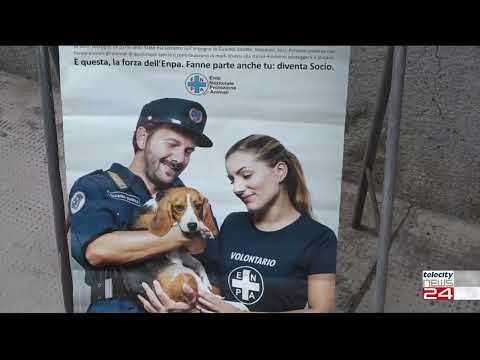19/10/2023 - Dalla nuova casa Enpa di Bosco Marengo prosegue l'impegno in difesa degli animali