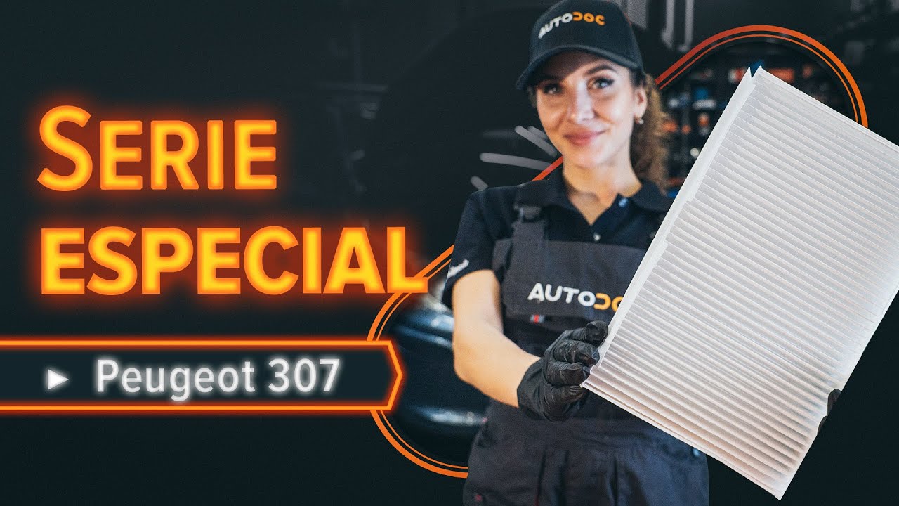 Filtro, Aire Habitáculo PURRO PUR-PC4012AG Para