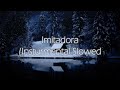 Imitadora Insturmental Slowed 1 Hour