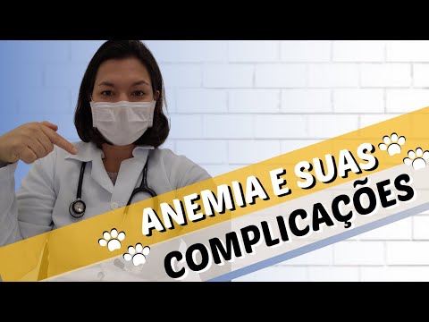 Vídeo: Anemia Relacionada Ao Sistema Imunológico Em Gatos