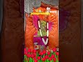 चैत्र नवरात्री च्या हार्दिक शुभेच्छा 🔱❤️🌹🙏