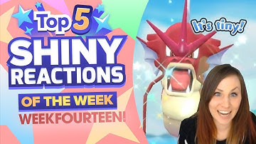 TOP 5 BEST SHINY REACTIONS OF THE WEEK! Pokemon Let