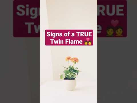 Twin Flame Signs
