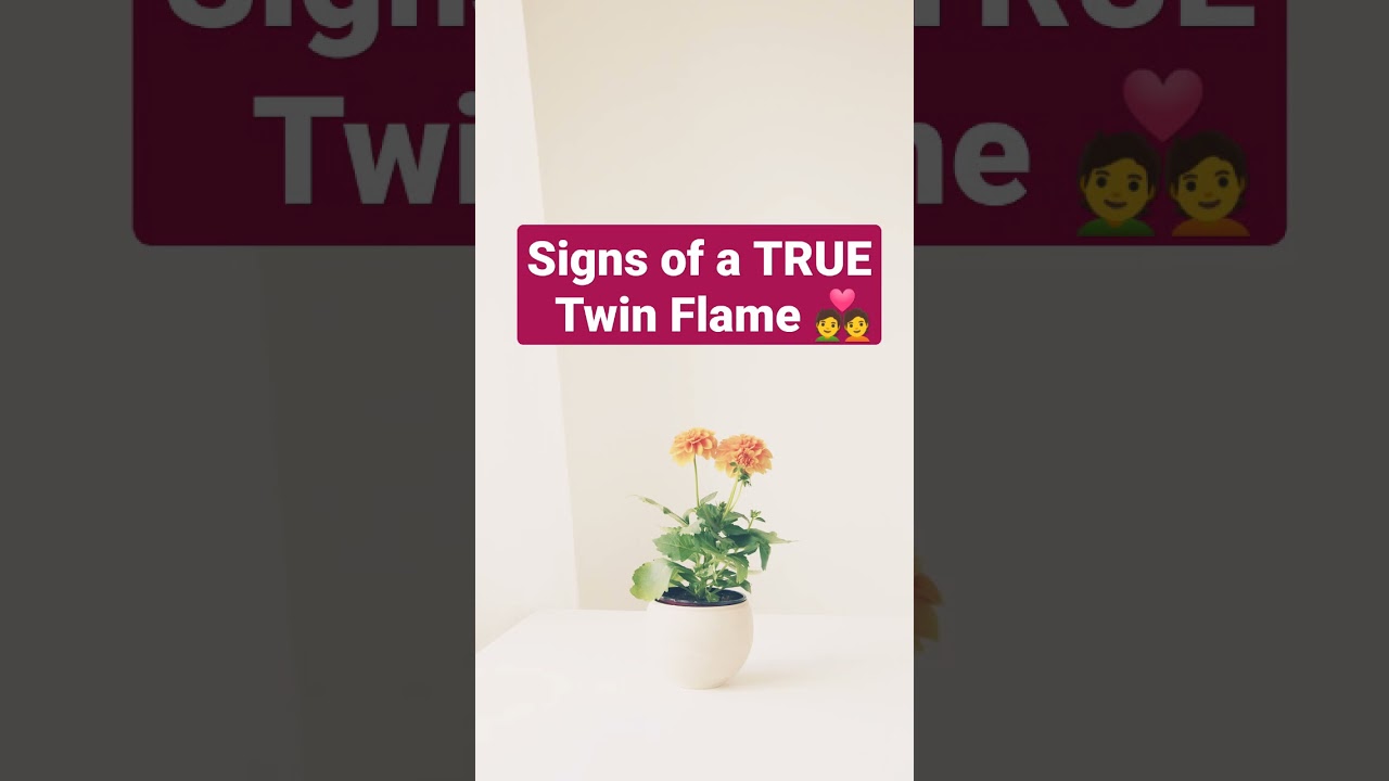 Twin Flame Signs (ACCURATE) 💑 #Shorts