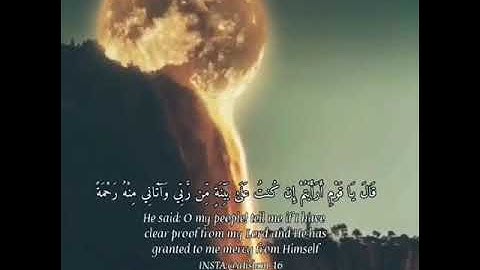 تلاوة لسوره هود الايه ٢٨