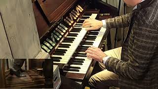 Johann Sebastian Bach: Triosonata in d BWV 527. Massimo Gabba, Gandini organ. #johannsebastianbach