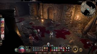 Baldurs Gate 3 Englanti On Uuden Kuningaskunnan Kieli