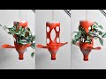 Circle Design Hanging Planter | Hanging Plants in Plastic Bottles