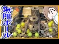 無限にボールが出続けるバベルなら絶対に美味しい説!!【メダルゲーム】【バベルのメダルタワーW】