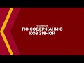 Онлайн курс обучения «Животноводство» - 6 советов по содержанию коз зимой