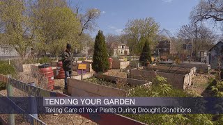 Illinois State Climatologist: 2021 Spring Driest Since 1934