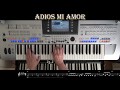 Adios Mi Amor - Adieu Mon Amour - Goodbye My Love, cover on Tyros 4