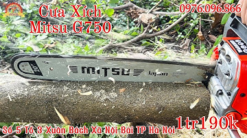 Mang máy cưa xích Mitsu G750 đi test thực tế sức mạnh cực khủng máy êm cắt ngọt