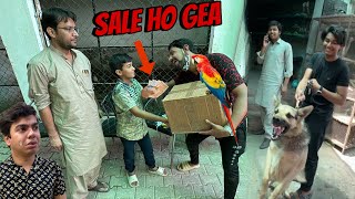 Waleed Ka Macow Sale Kr Dea  Bht Sara Pesa Agai