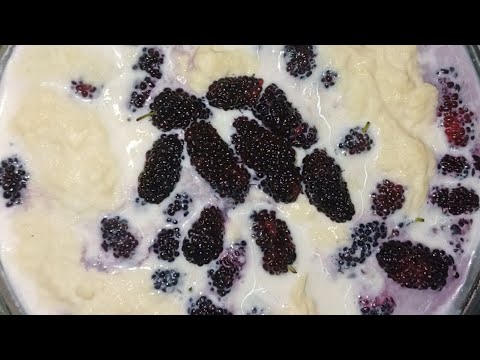 Shahtoot malai |Mulberry malai |Hyderabadi famous desert |How to make ...