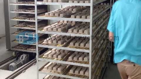 BST Pulp Molding Machine Tunnel Drying Line