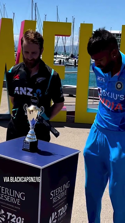 Kane Williamson has a safe pair of hands 😂