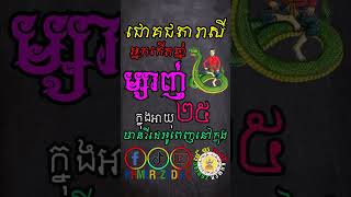 ជោគជតារាសី អ្នកកើតឆ្នាំម្សាញ់ ក្នុងអាយុ២៥ | Viral Video Shorts | Khmer Zodiac​
