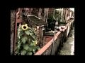 The Beatles Free As A Bird Official Video HD The Beatles Free As A Bird Official Video HD