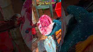 BIG SEER FISH SLICE CUTTING | BIG SLICE CUTTING | 360* #seerslicecutting #vanjaramslicecutting