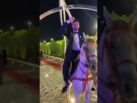 العين جت في الحصان