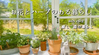 [Country life] Vlog for people in their 60s/Flowers and herbs to condition the mind and body