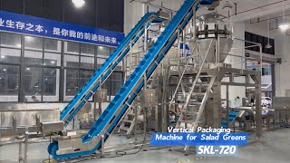 Large Vertical Packaging Machine for Fresh Vegetable Salads: Efficiency and Freshness in Packaging