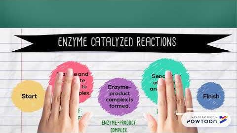 CHM3103 Assignment 1