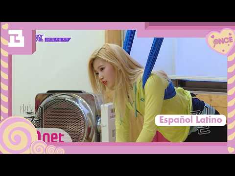 [TWICE Private Life] TWICE’s sloppy yoga, Sana! | Español Latino