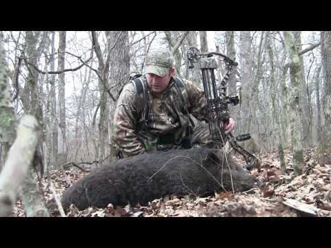 ECM Outdoors Shiloh Ranch Oklahoma Hog Hunting