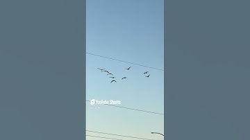 تكرارالأذكار لقضاء الحاجه باذن الله تعالى