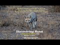 Wild Gujarat | Discovering Rann | Desert Ecosystem