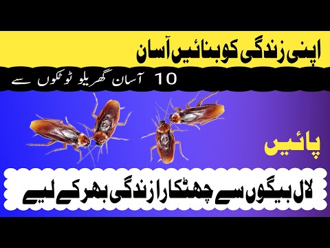 ผลสลากกินแบ่งรัฐบาล วันที่ 1 พย. 2567