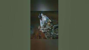 تلاوة تقشعر لها الأبدان بصوت القاريء إسلام صبحي حالات واتس اب دينية قصيرة مؤثرة قرآن كريم انستا