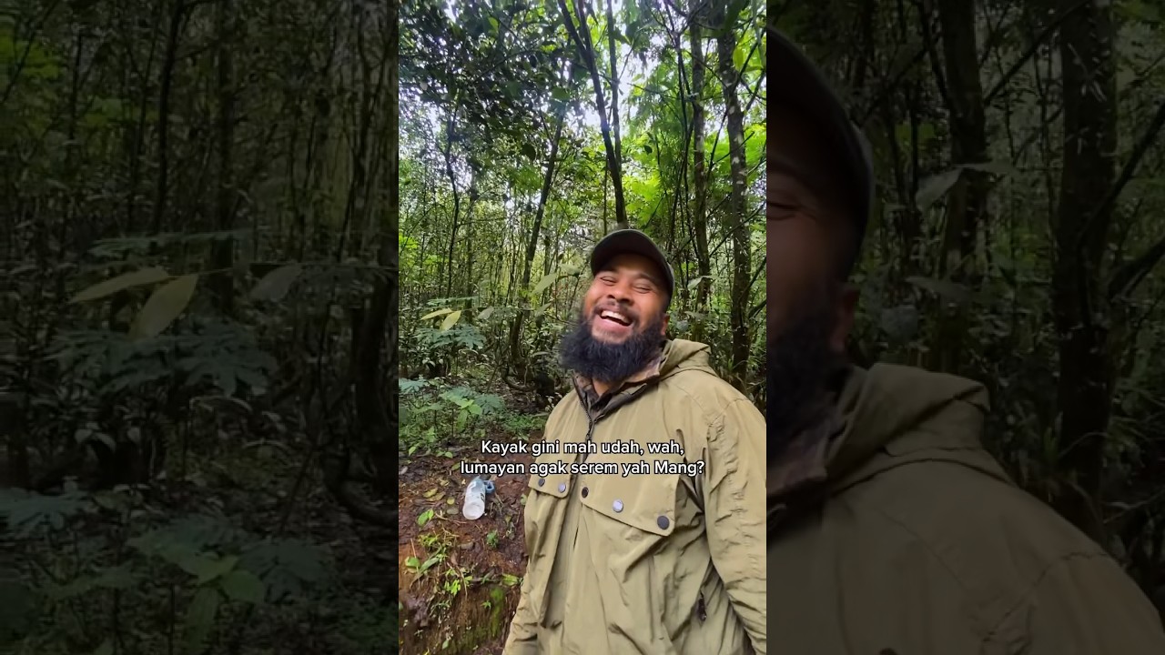 Ternyata teh pohonnya tinggi-tinggi 🌳 #BMBFarmingDivision