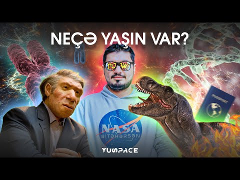 Video: Qoca və ya gənc: ağacın yaşını necə təyin etmək olar?