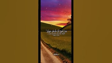 القارئ: عبد العزيز التركي