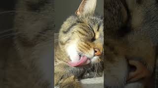 When bath time turns into nap time immediately! 😴💤 How did she get so sleepy?