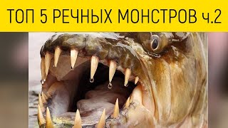 ТОП 5 РЕЧНЫХ МОНСТРОВ ч.2