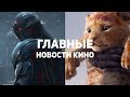 Главные новости кино | GS TIMES [MOVIES] 28.11.2018 | Король Лев, Росомаха, Ходячие Мертвецы