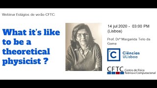 What it’s like to be a theoretical physicist ? (Margarida Telo da Gama) screenshot 3